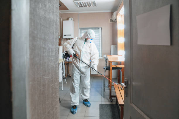 Best Mold-Related Health Consultation  in Enigma, GA