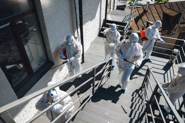 Best Industrial Mold Remediation  in Enigma, GA