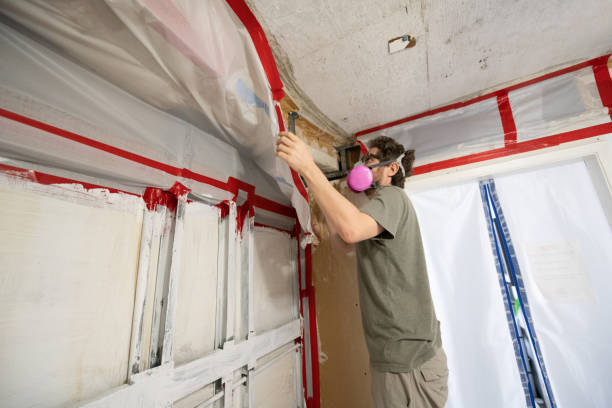 Best Emergency Mold Remediation  in Enigma, GA