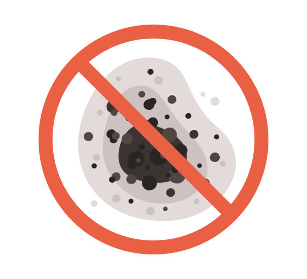 Best Post-Remediation Verification Testing  in Enigma, GA