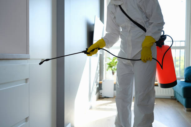 Best Attic Mold Removal  in Enigma, GA