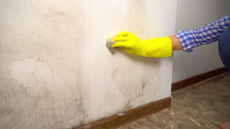Best Dehumidification Services  in Enigma, GA