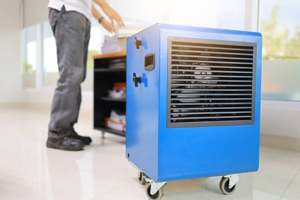 Best Indoor Air Quality Assessment  in Enigma, GA