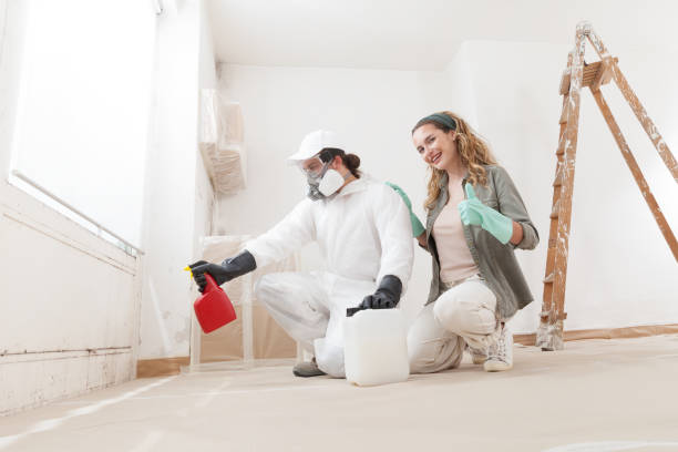 Best Crawl Space Mold Remediation  in Enigma, GA