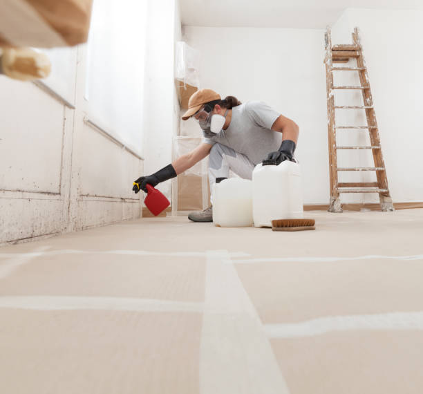  Enigma, GA Mold Removal Pros