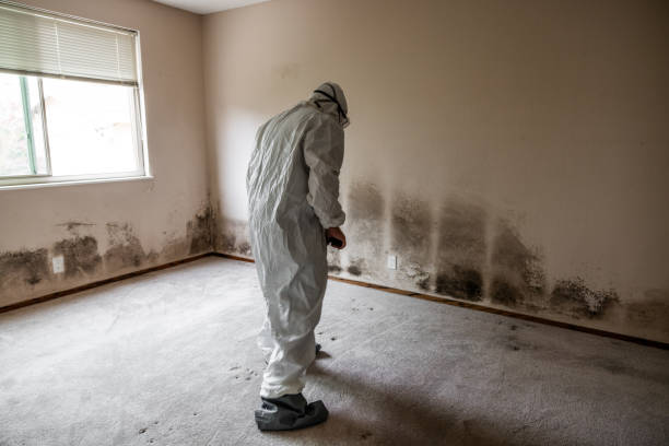 Best Residential Mold Inspection & Testing  in Enigma, GA