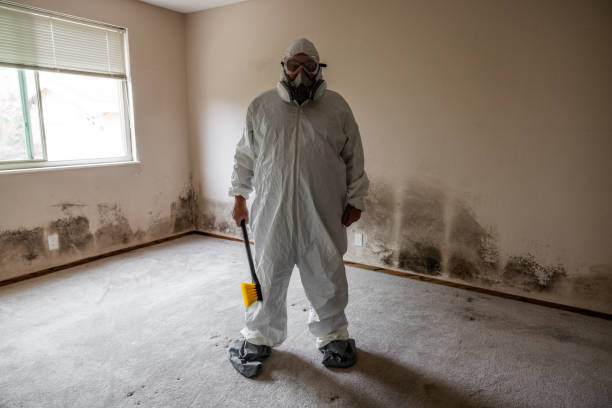 Best Real Estate Mold Inspection  in Enigma, GA
