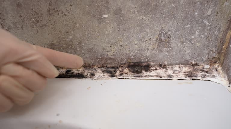 Best Asbestos and Lead Testing During Mold Inspection  in Enigma, GA